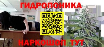 ECSTASY Краснознаменск