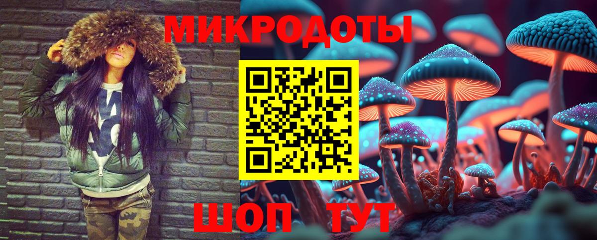 Псилоцибиновые грибы Psilocybe  Вход с VPN  Псилоцибиновые грибы Magic Shrooms  Клинцы 