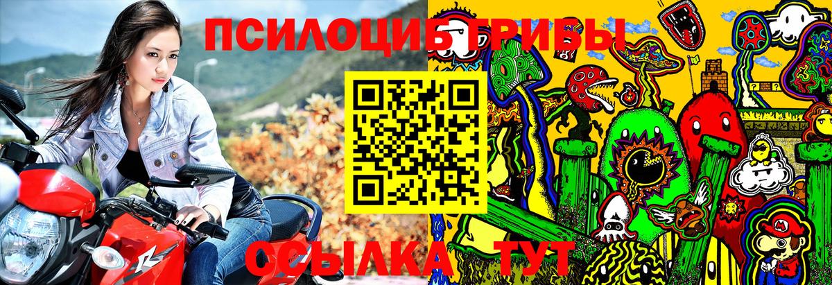 Галлюциногенные грибы Magic Shrooms Клинцы