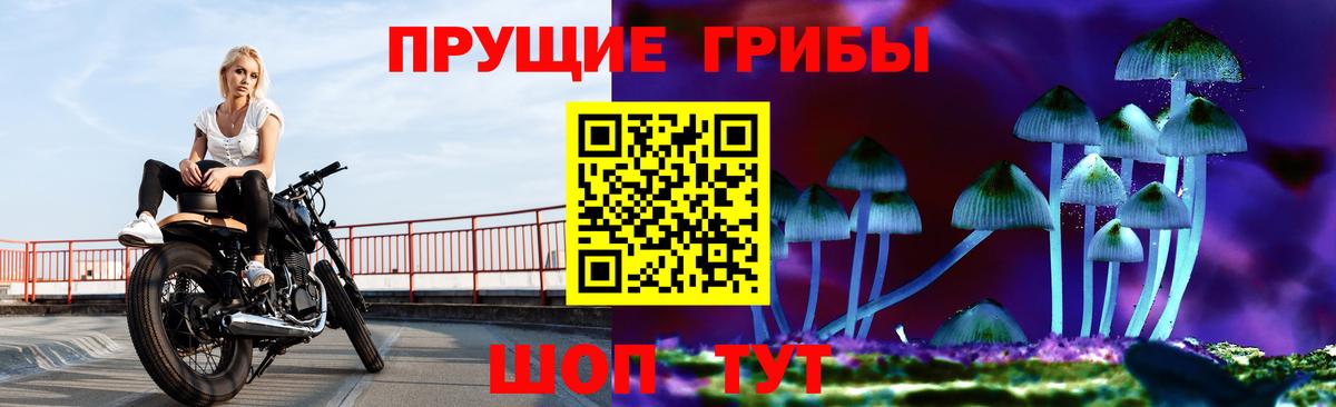 Галлюциногенные грибы мицелий  Псилоцибиновые грибы мухоморы  Клинцы 